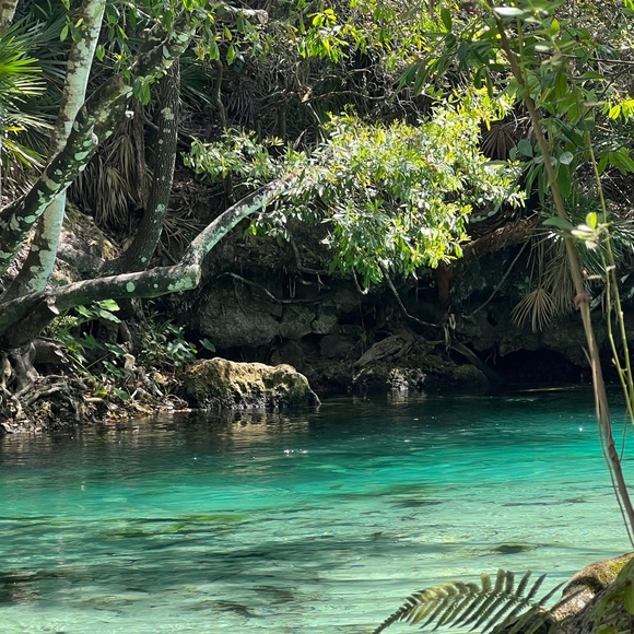 Meet your Posher, MJ - Picture 4 of 9